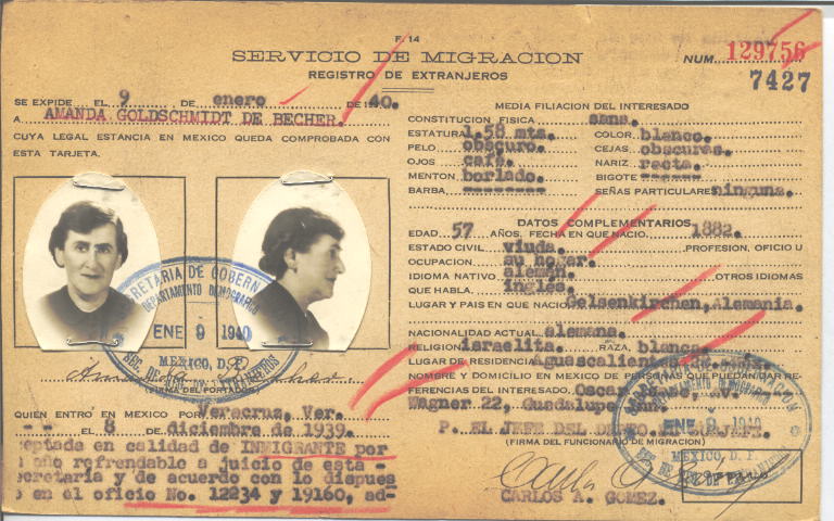 Amanda Becher Goldshmidt de