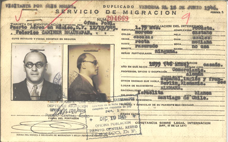 Federico Caminer Braunspan