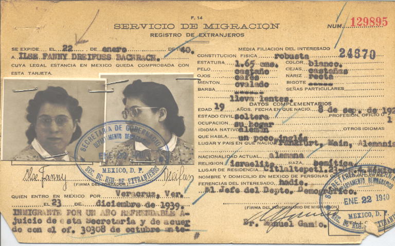 Ilse Fanny Dreifuss Bachrach