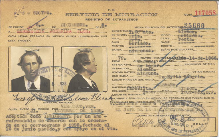 Josefina Ehrenstein Flsh de