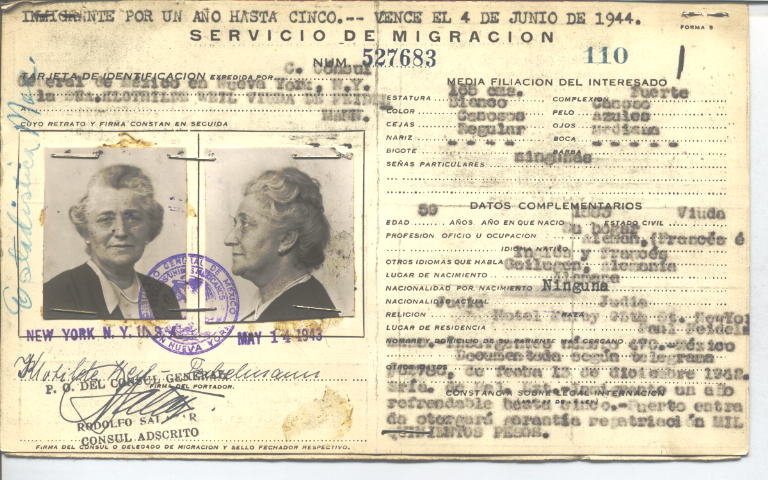 Hlothilde Feidelmann Weil vda. de