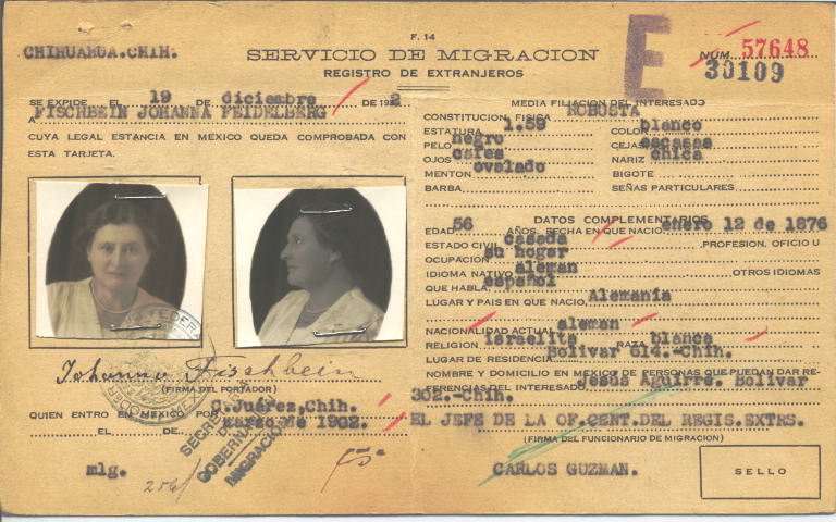 Johanna Fischbein Fendelberg de