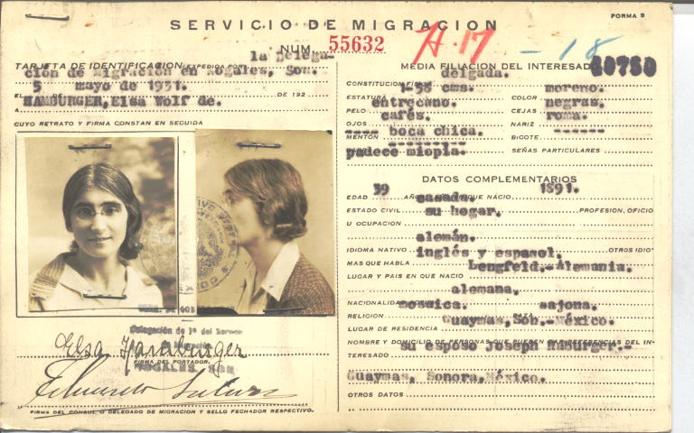 Elsa Wolf de Hamburger