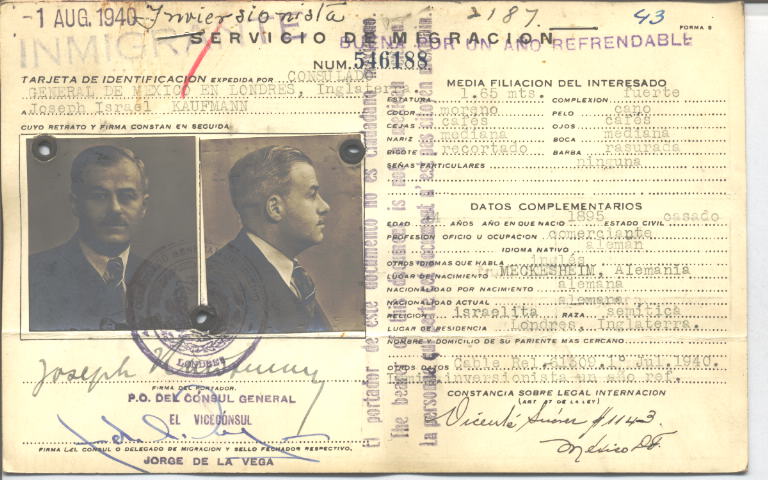 Joseph Israel Kaufmann