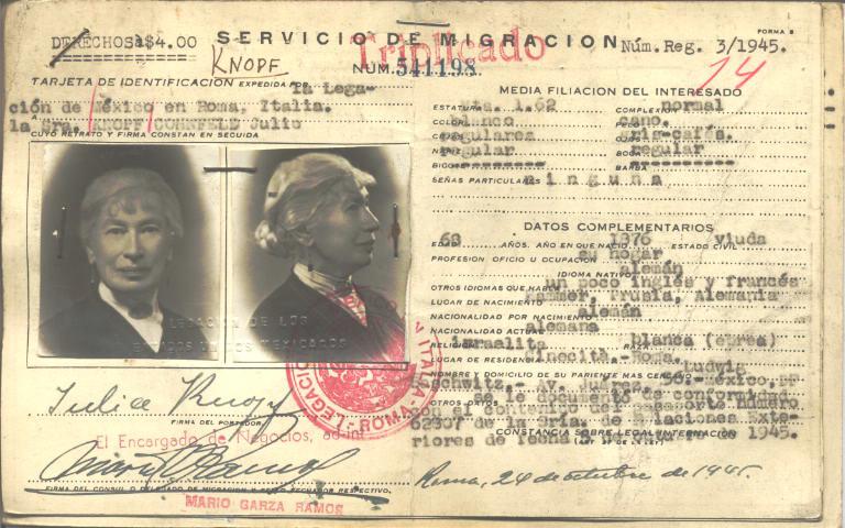 Julia Knopf Cohnfeld