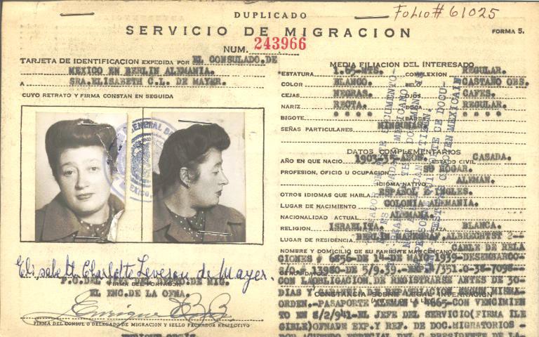 Elizabeth C. L. de Mayer