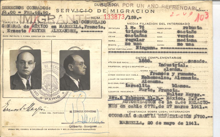 Ernesto Meyer Alexandre