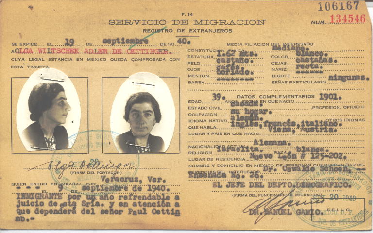 Olga Wiltschek Adler de Oettinger