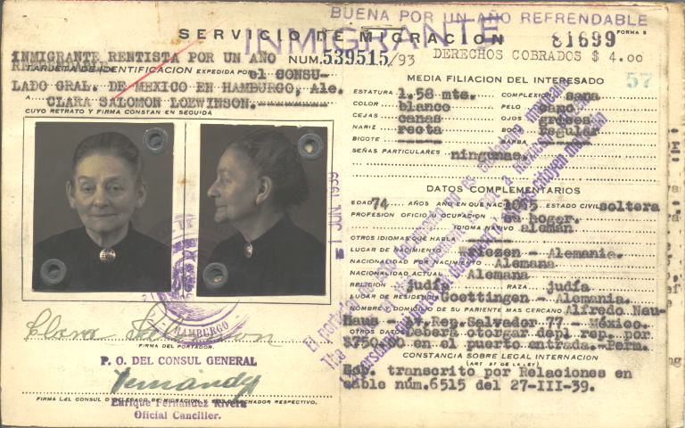 Clara Salomon Loewinson