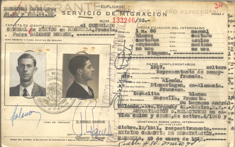 Pedro Salomon Mosses