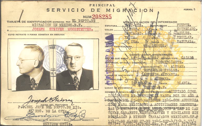 Joseph Steiner Hochstetter