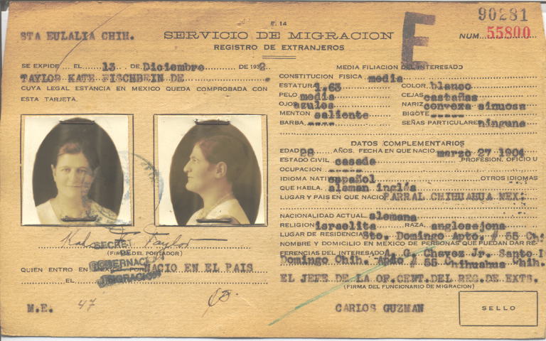 Kate Taylor Fischbein de