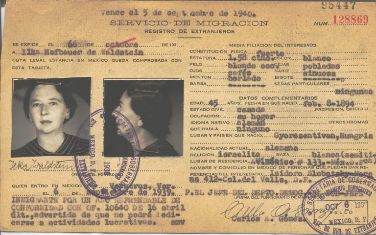 Ilka Waldstein Hofbauer de