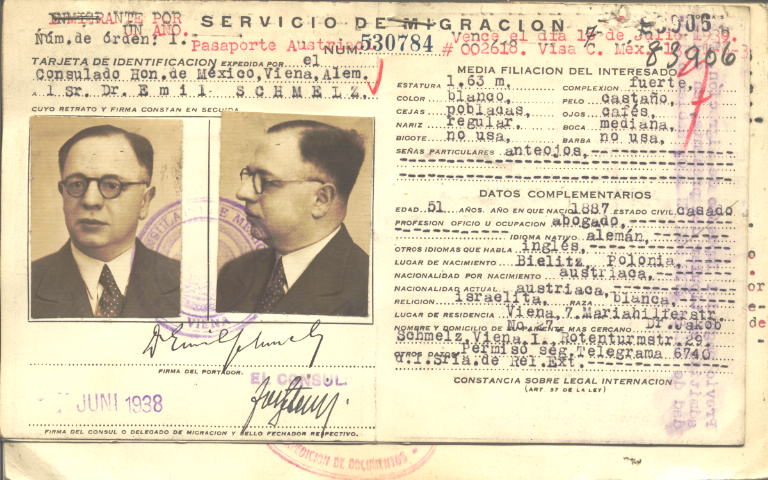 Emil Schmelz y Friedmann