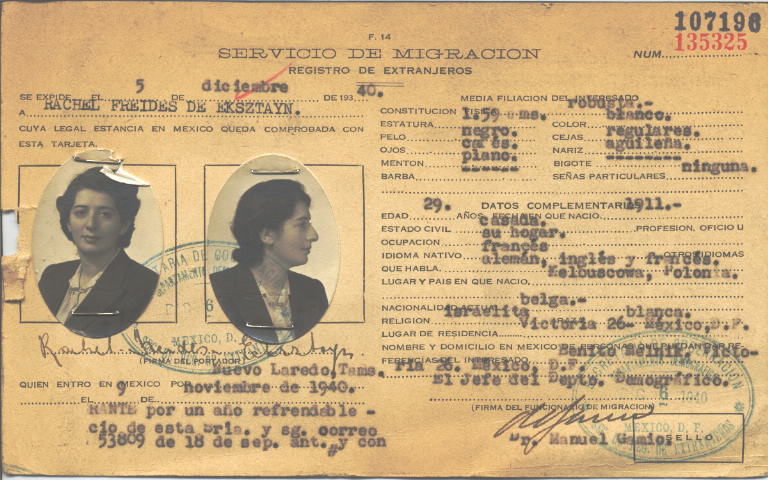 Raquel Freides de Eksztayn