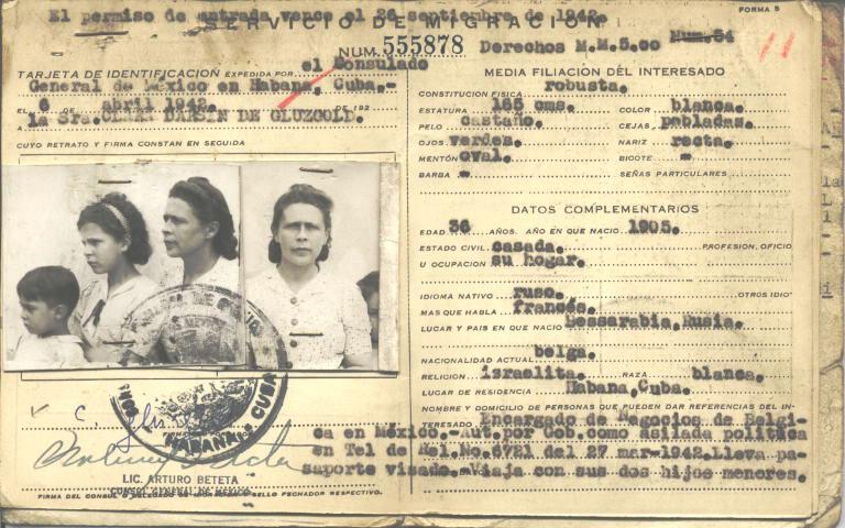 Clara Darsin de Gluzgold