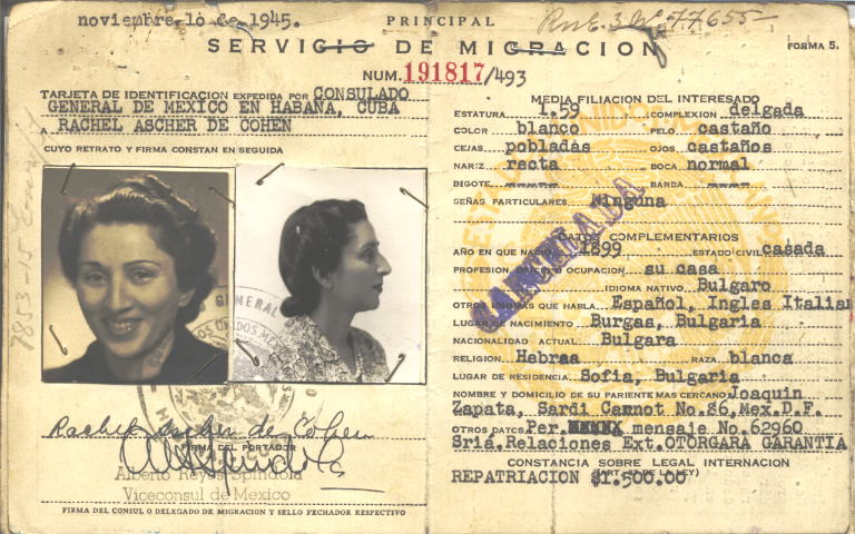 Rachel Cohen Ascher de