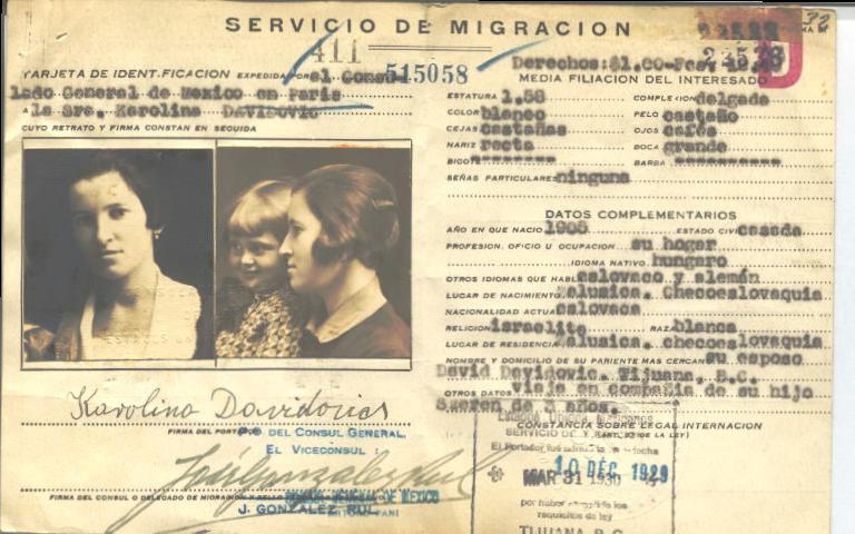 Karolina Davidovitch Rezi de