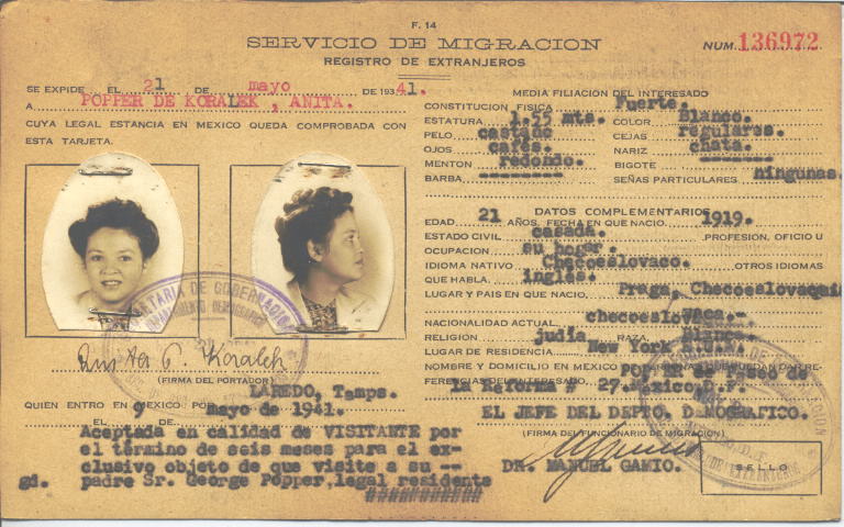 Anita Popper Koralek de