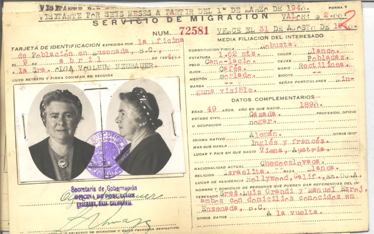 Olga Neubauer Voglhut de