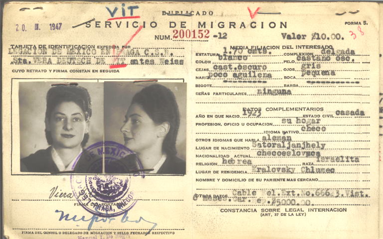 Vera Vit Weiss Deutsch de