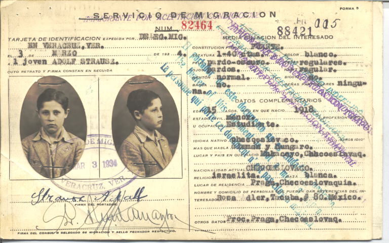 Adolfo Strausz Wettenstein