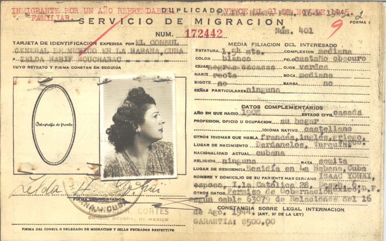 Zelda Habif Mouchabac