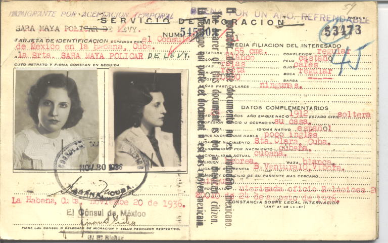 Sara Maya Policar de Levi