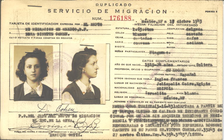 Dinnette Dona Cohen Levy