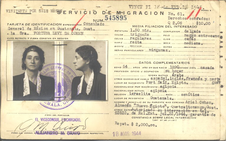 Fortuna Cohen Levy de