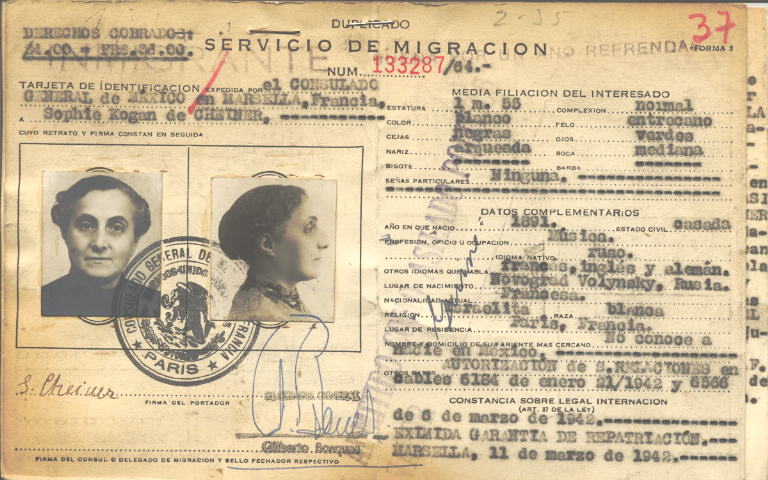 Sophie Cheiner Kogan de