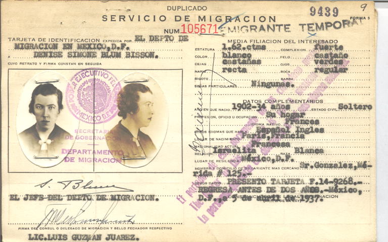 Denise Simone Blum Bisson