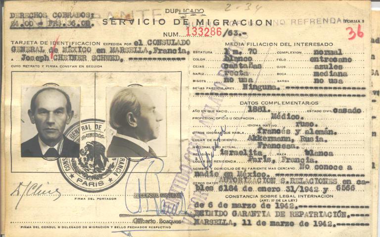 Joseph Cheiner Schawed