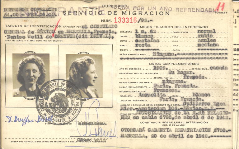 Denise Dreyfus Weill de