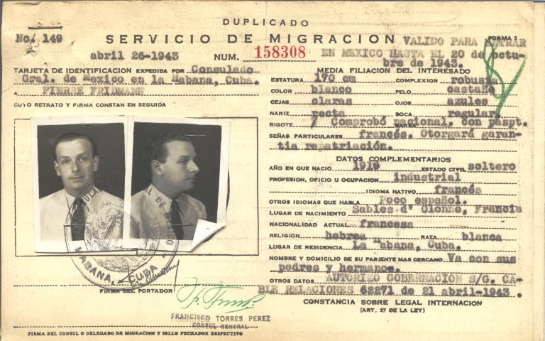 Pierre Fridmann Schmitt