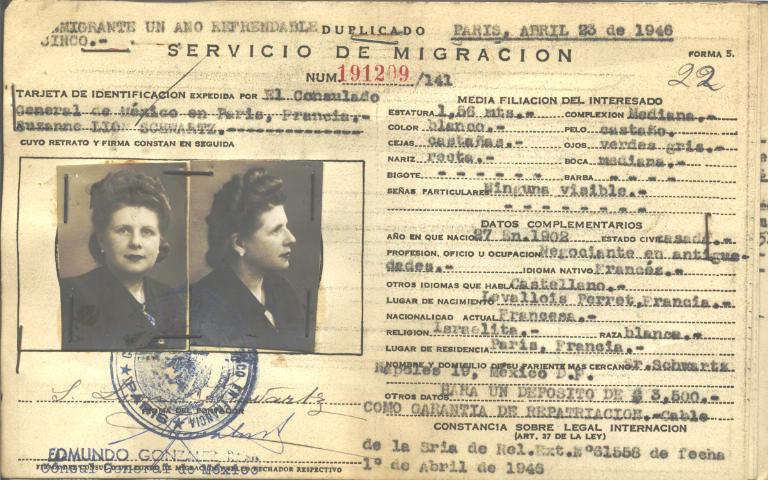 Suzane Lion Schwartz