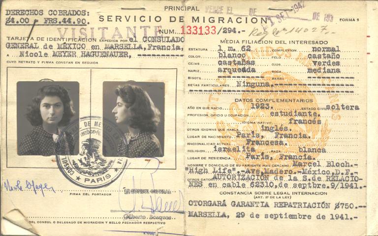 Nicole Meyer Haguenauer