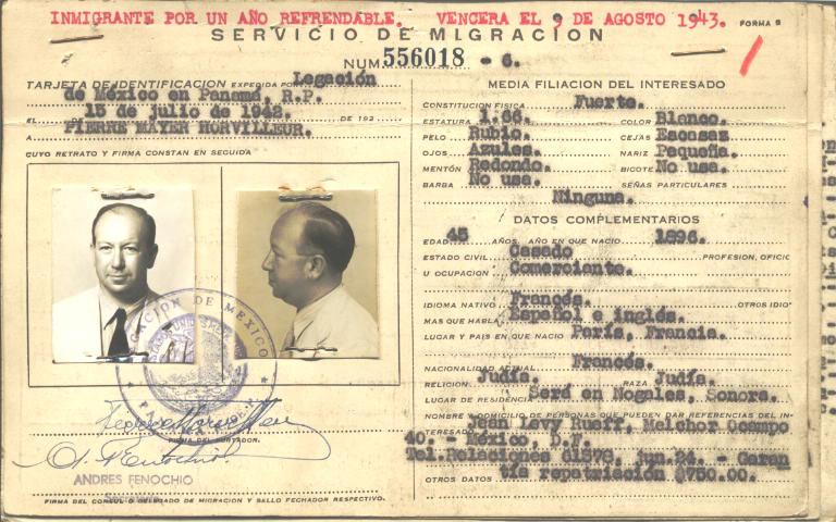 Pierre Mayer Horvilleur