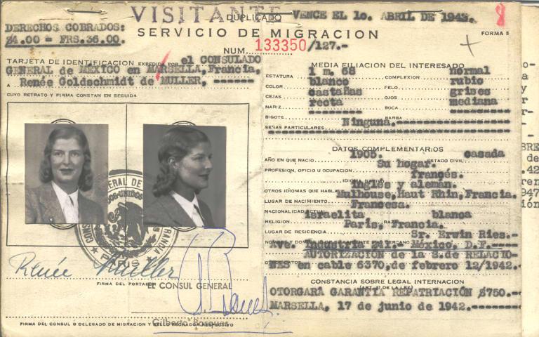 Rene Muller Goldschmidt de