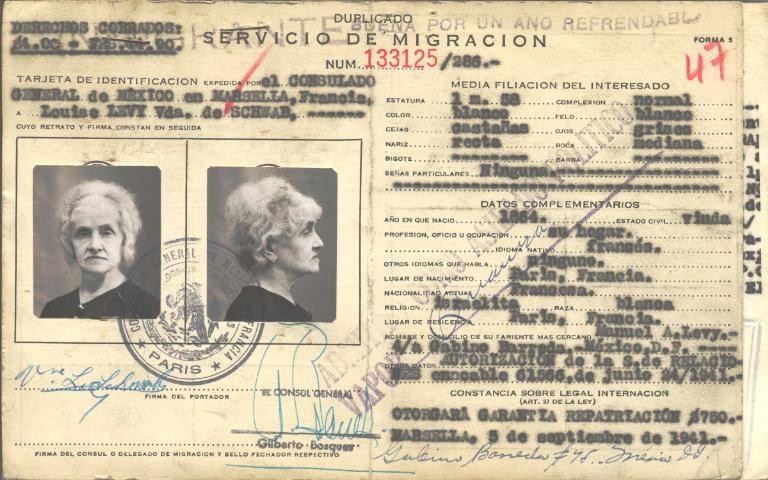 Louise Schwab Levy vda. De