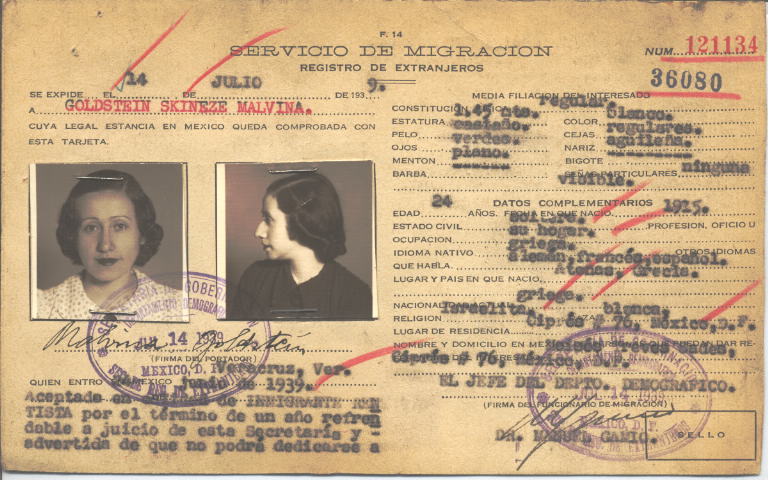 Malvina Goldstein, Skineze