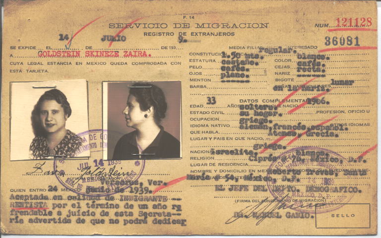 Zaira Goldstein, Skineze