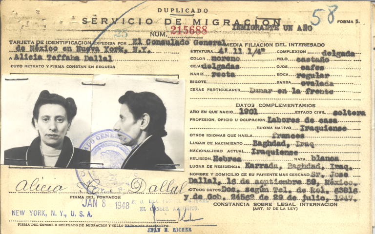 Alicia Teffaha Dallal