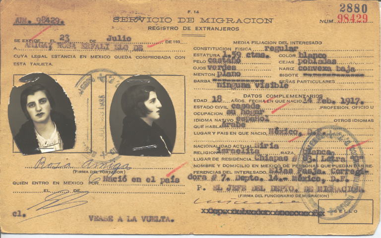 Rosa Amiga Erfali Elo de