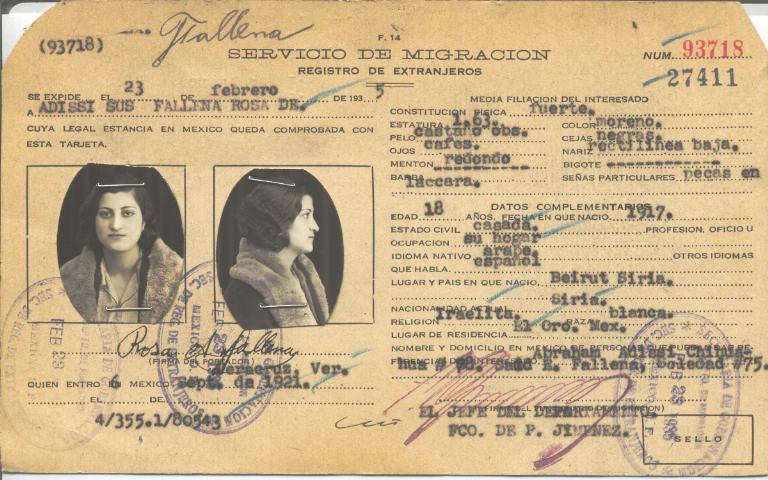 Rosa Fallena de Adissi