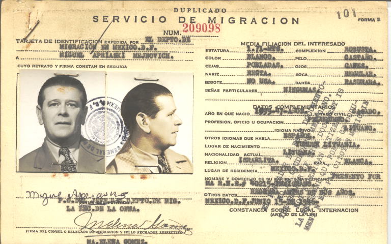 Miguel Apriaski Mejnovich