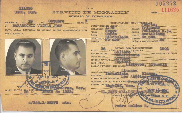 José Barabechic Vogels