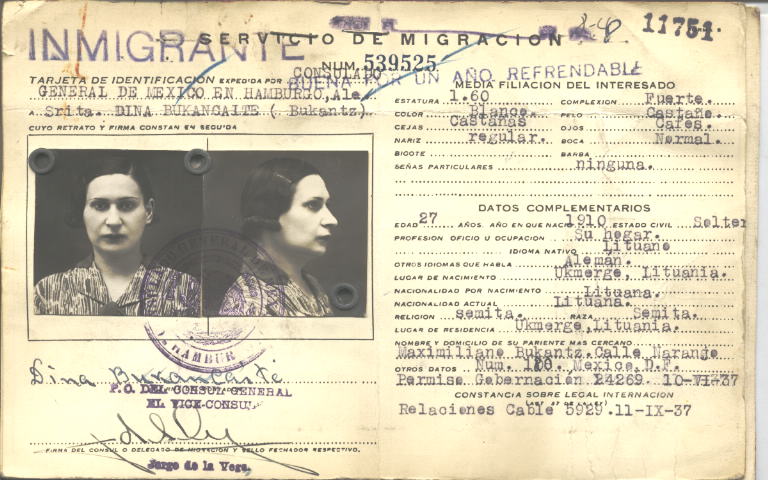 Dina Bukancaite Bukantz