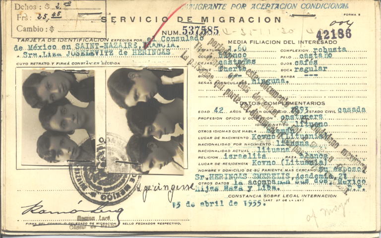 Liza Heringas Joselevitz de