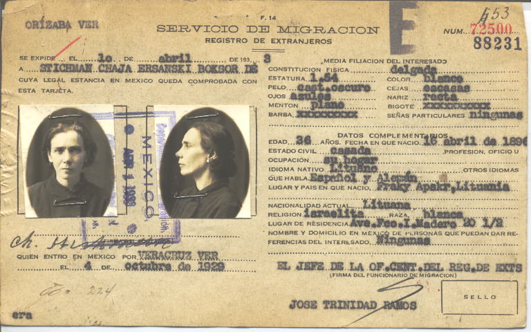 Choja (Chaja) Stichman Ersanski Boksor de